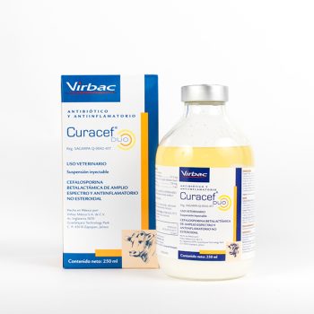 Curacef® Duo